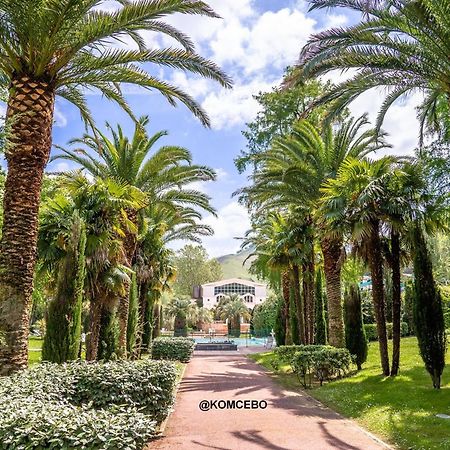Appartement F2 A Cambo-Les-Bains Avec Piscine, Proche Thermes, Terrasse Et Parking - Fr-1-495-36 외부 사진